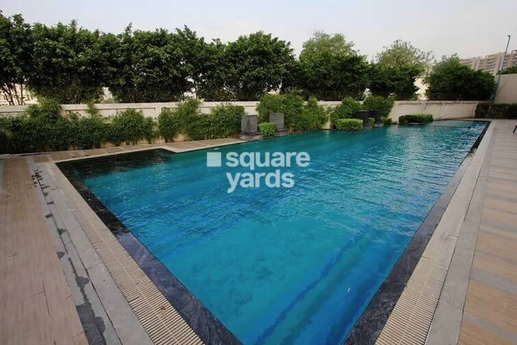 Tulip Purple Amenities-Features 1