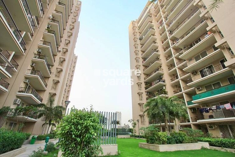 Tulip Purple Amenities-Features 3