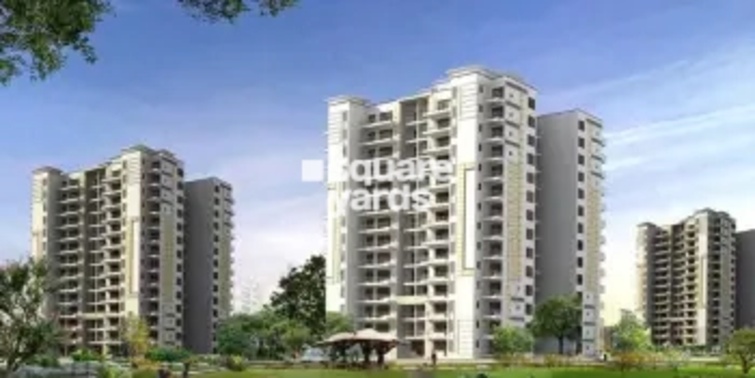 Tulip Purple Project Thumbnail Image