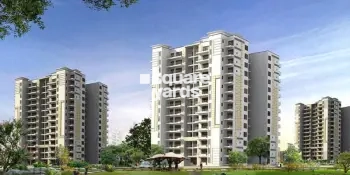 Tulip Purple Project Thumbnail Image