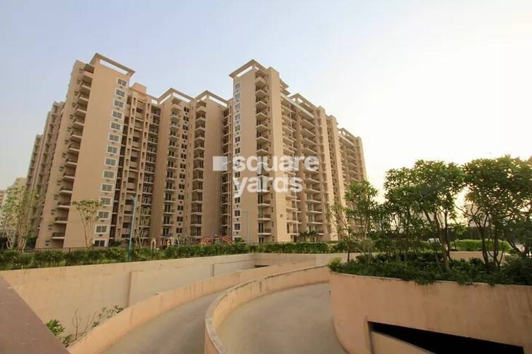 Tulip Purple Tower View