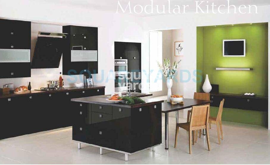 Tulip Violet Apartment Interiors