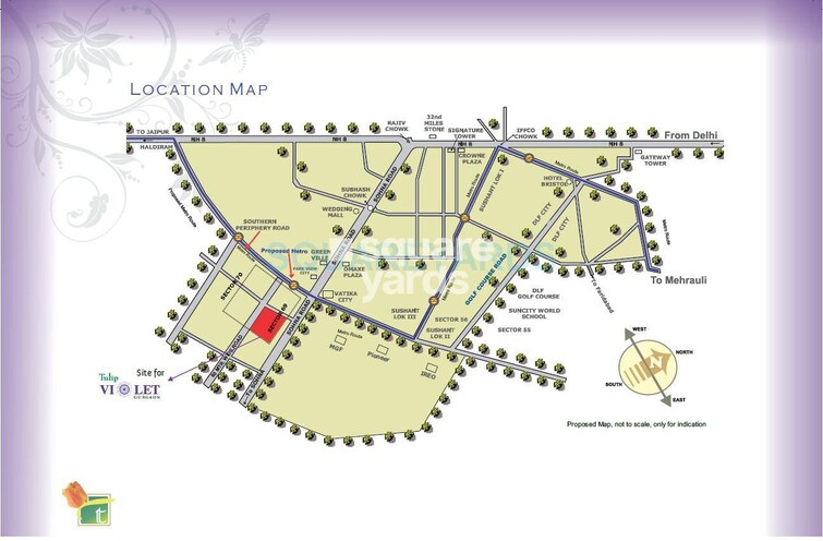 Tulip Violet Location Image