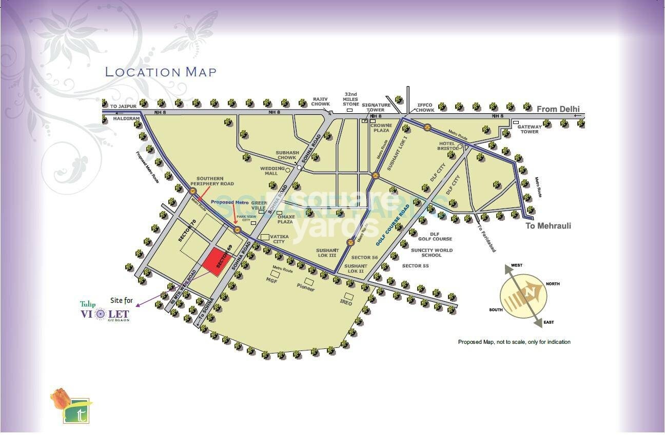 Tulip Violet Location Image