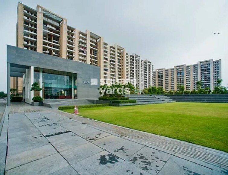 Tulip Violet Amenities-Features 4