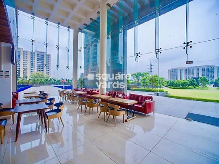 Tulip Violet Amenities-Features 6