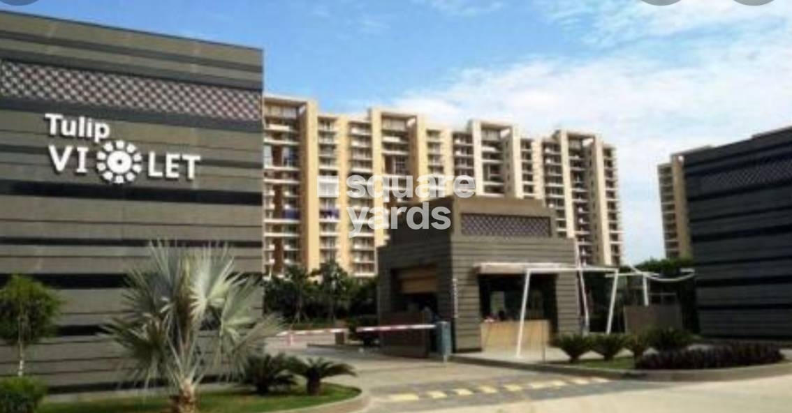 Tulip Violet in Sector 69, Gurgaon Price list, Project Info & Highlights