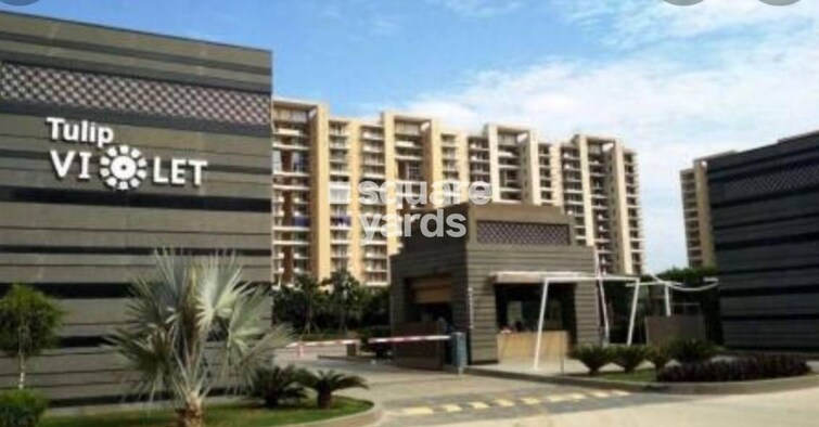 Tulip Violet Entrance View