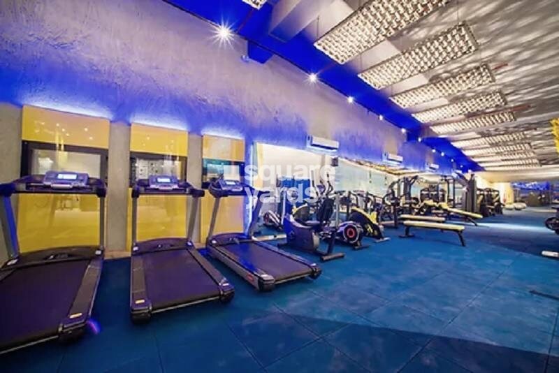 Tulip Violet Gymnasium Image