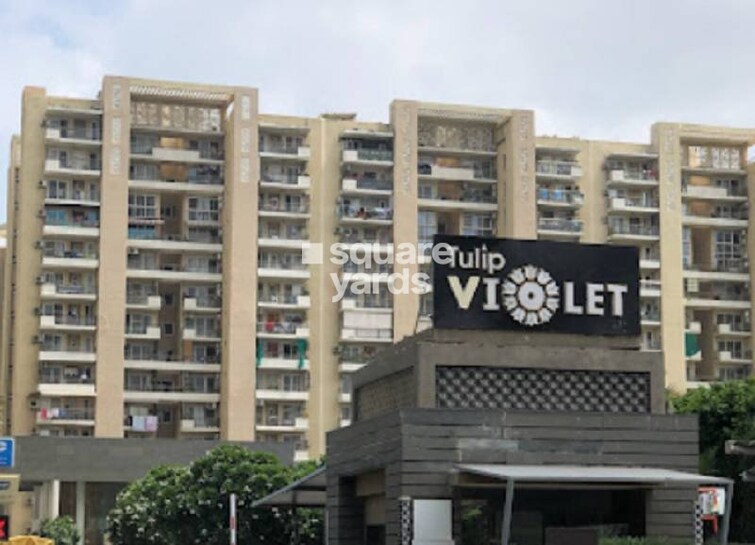 Tulip Violet Tower View 4