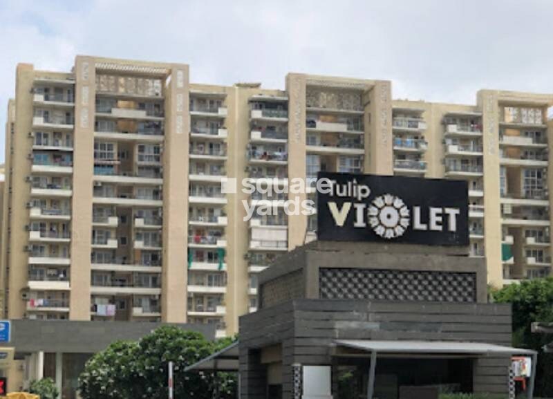 Tulip Violet Tower View 4