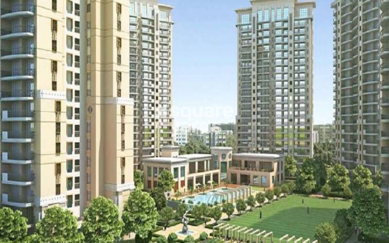 Tulip Violet Tower View 5