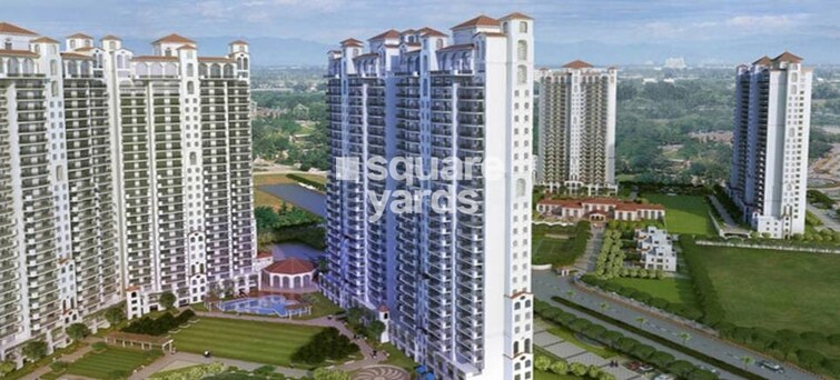 Tulip Violet Tower View 7