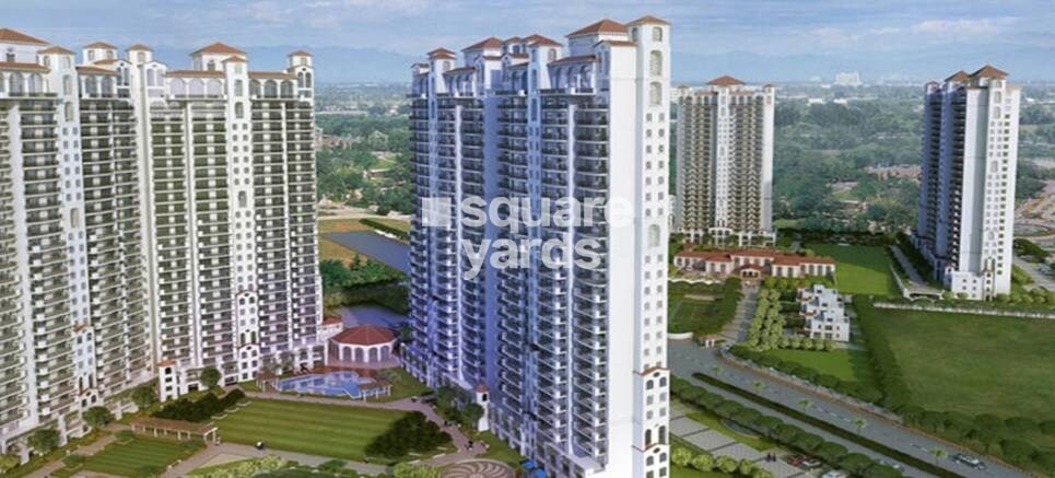 Tulip Violet Tower View 7