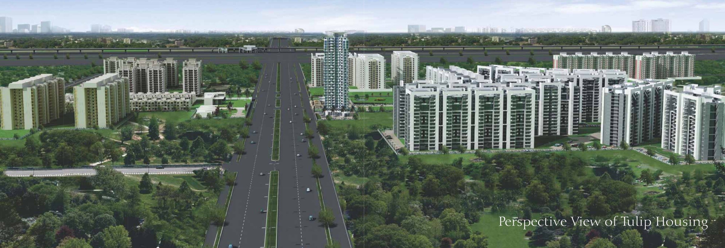 Tulip Violet Tower View 9