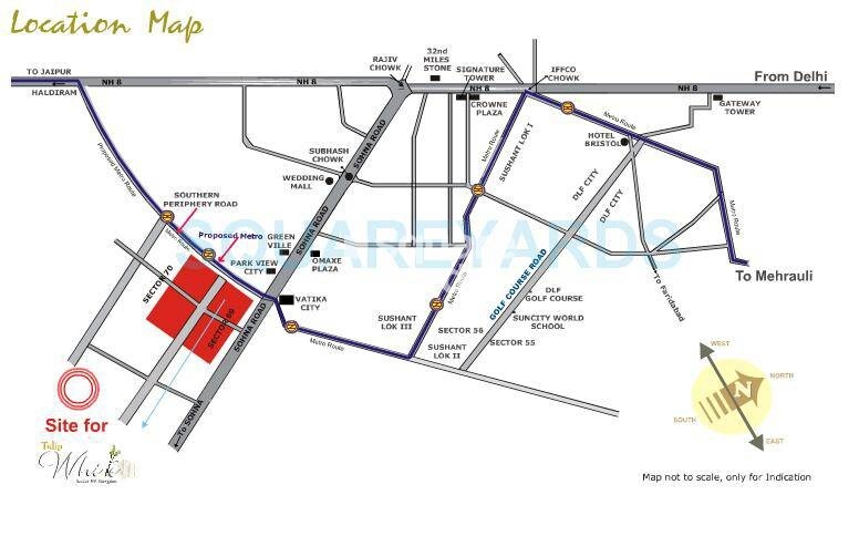 Tulip White Location Image