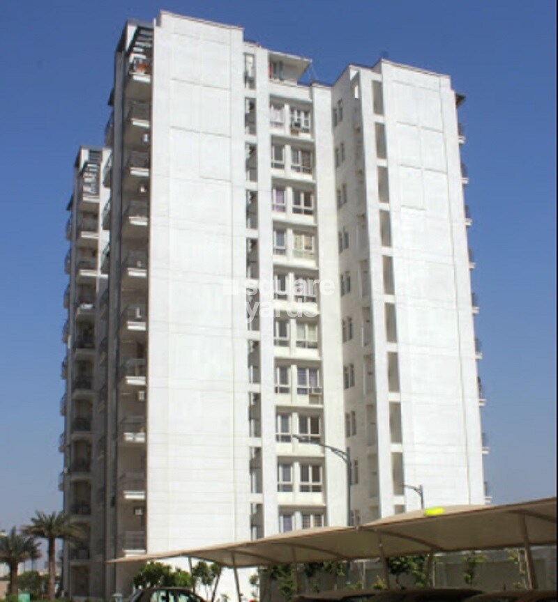 Tulip White Tower View 3