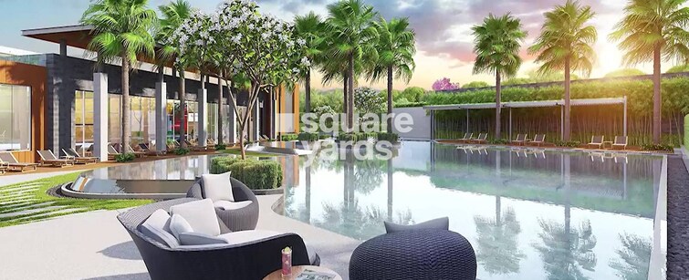 Tulip Yellow Amenities-Features 1