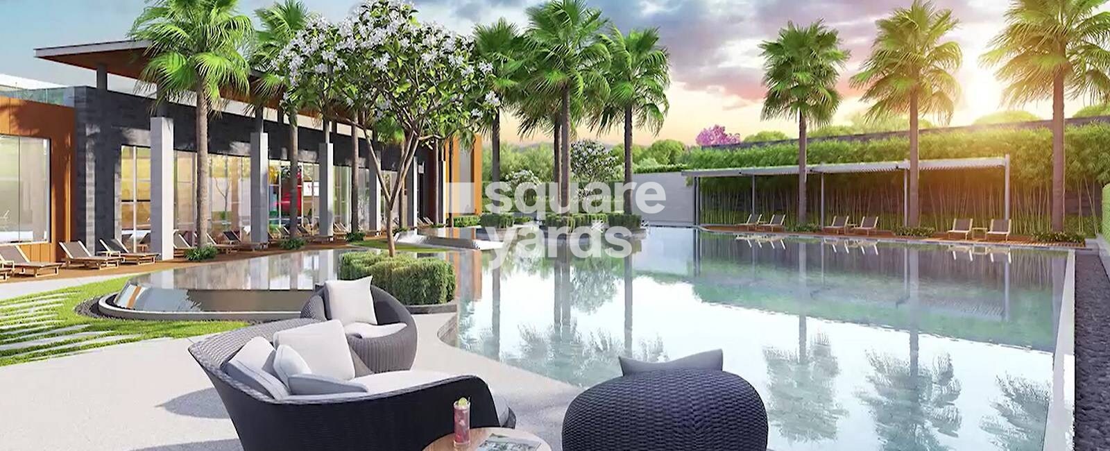 Tulip Yellow Amenities-Features 1