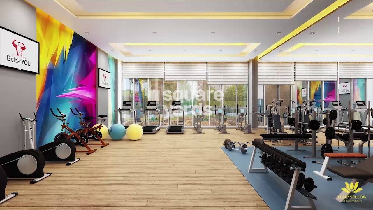 Tulip Yellow Amenities-Features 2