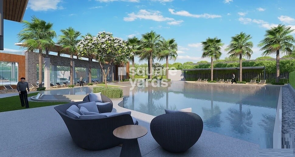 Tulip Yellow Amenities-Features 6