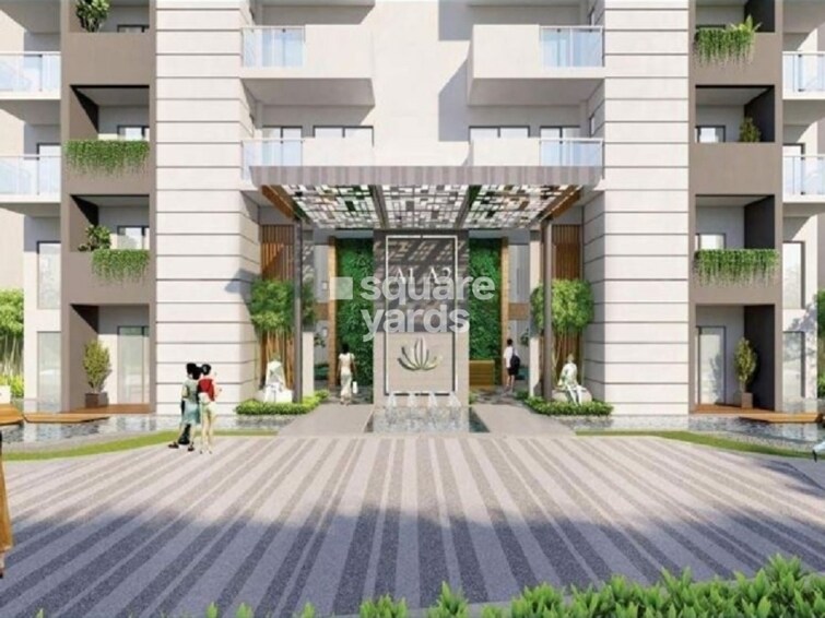 Tulip Yellow Amenities-Features 7