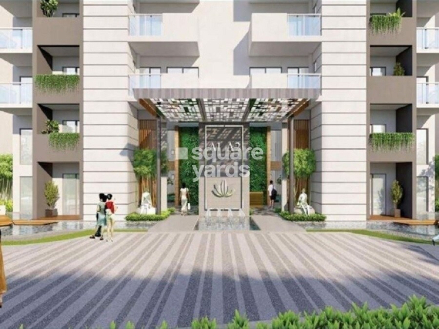 Tulip Yellow Amenities-Features 7