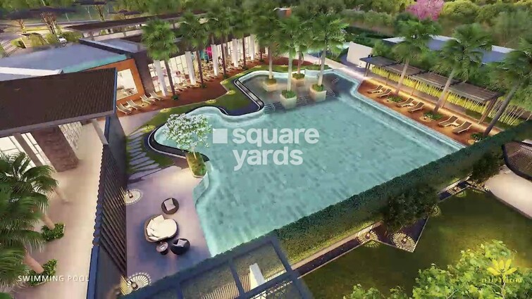 Tulip Yellow Amenities-Features 3