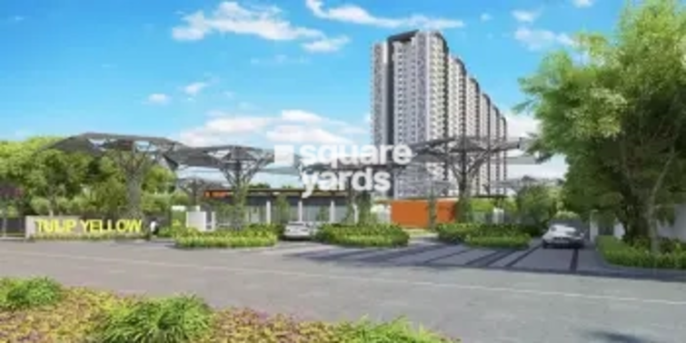 Tulip Yellow Project Thumbnail Image