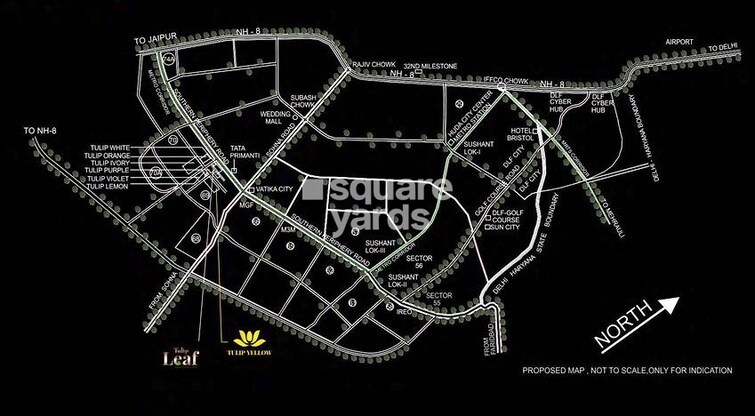 Tulip Yellow Location Image