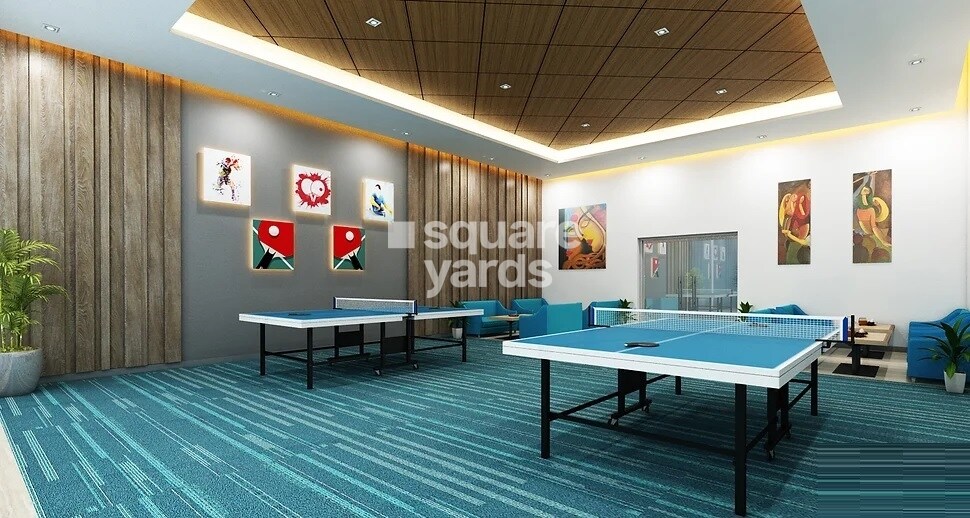 Tulip Yellow Sports facilities Image