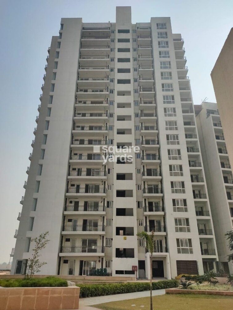 Umang Winter Hills Tower View 4