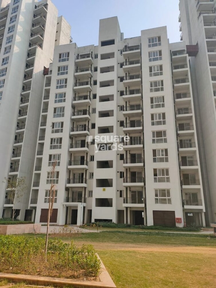 Umang Winter Hills Tower View 5