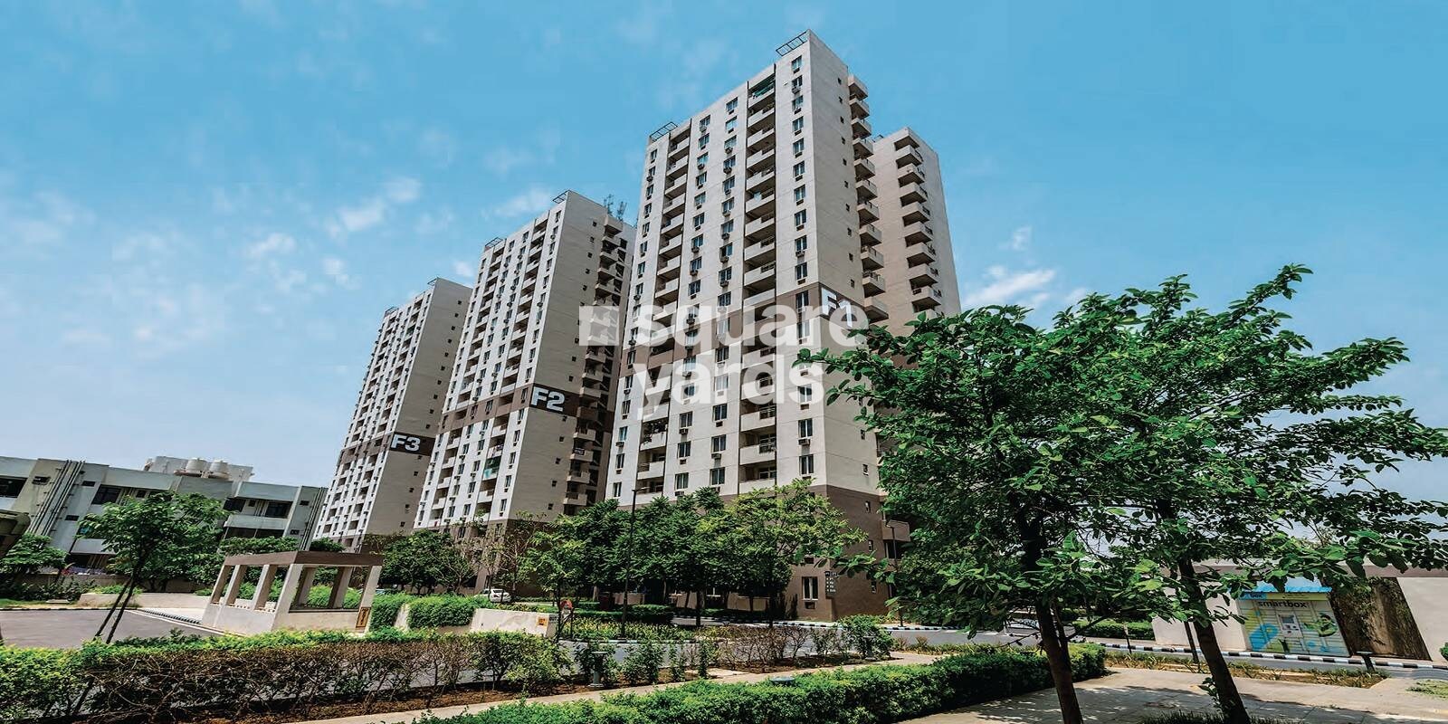 Vatika Gurgaon 21