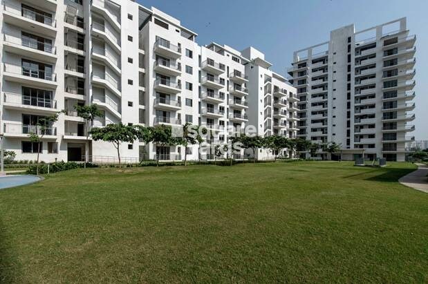 Vatika Sovereign Next