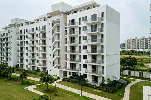 Vatika Sovereign Next