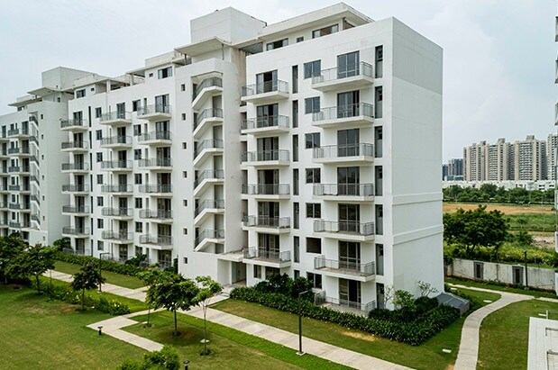 Vatika Sovereign Next