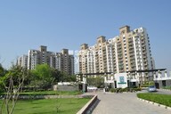 Vipul Greens Tower View