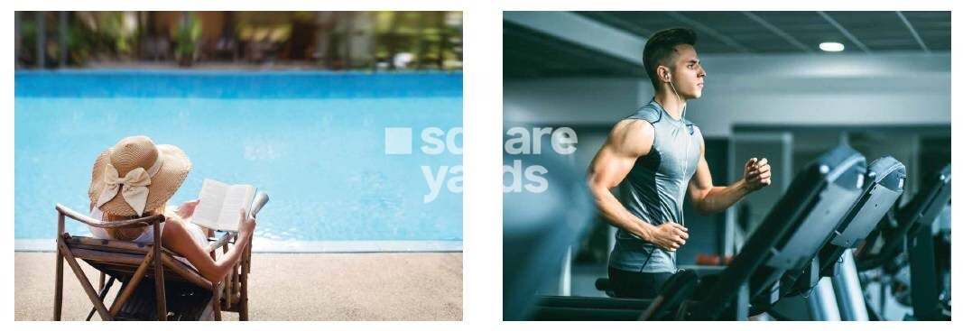 Whiteland Blissville