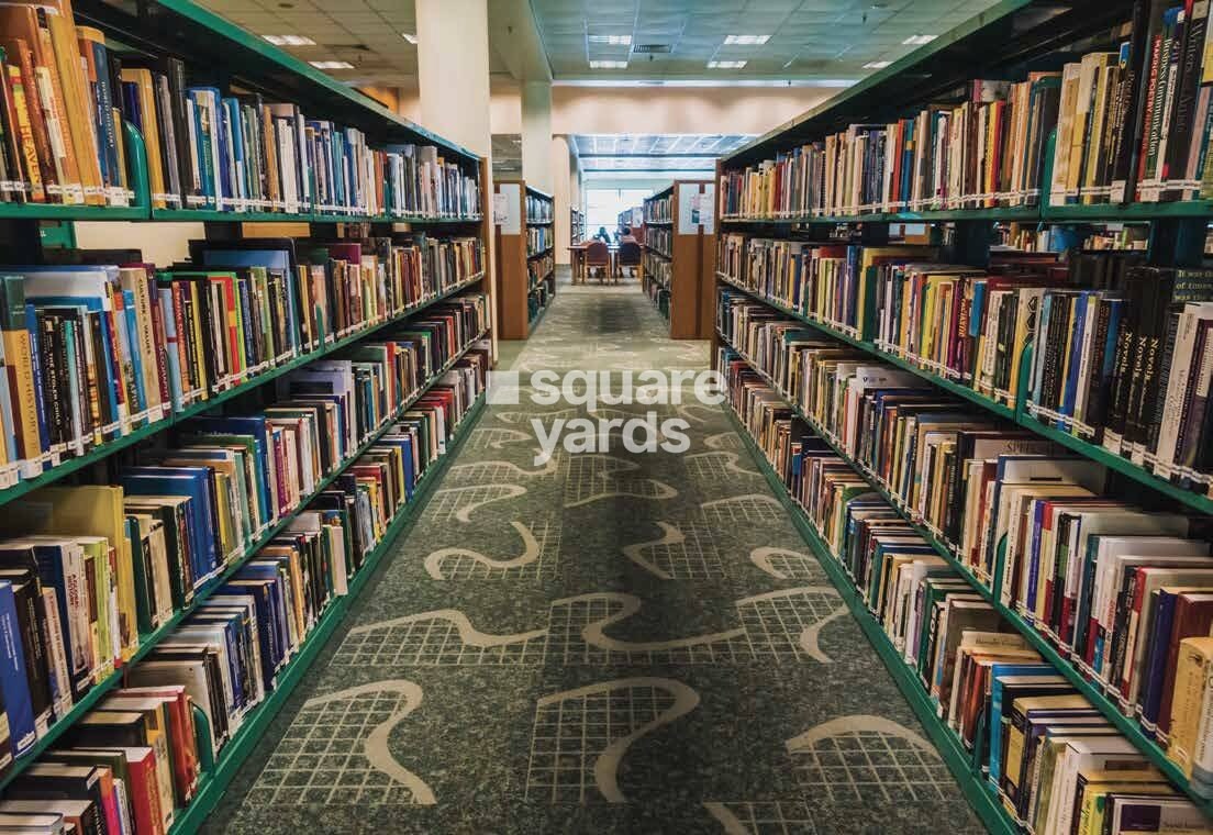 Whiteland Blissville Amenities-Features 10