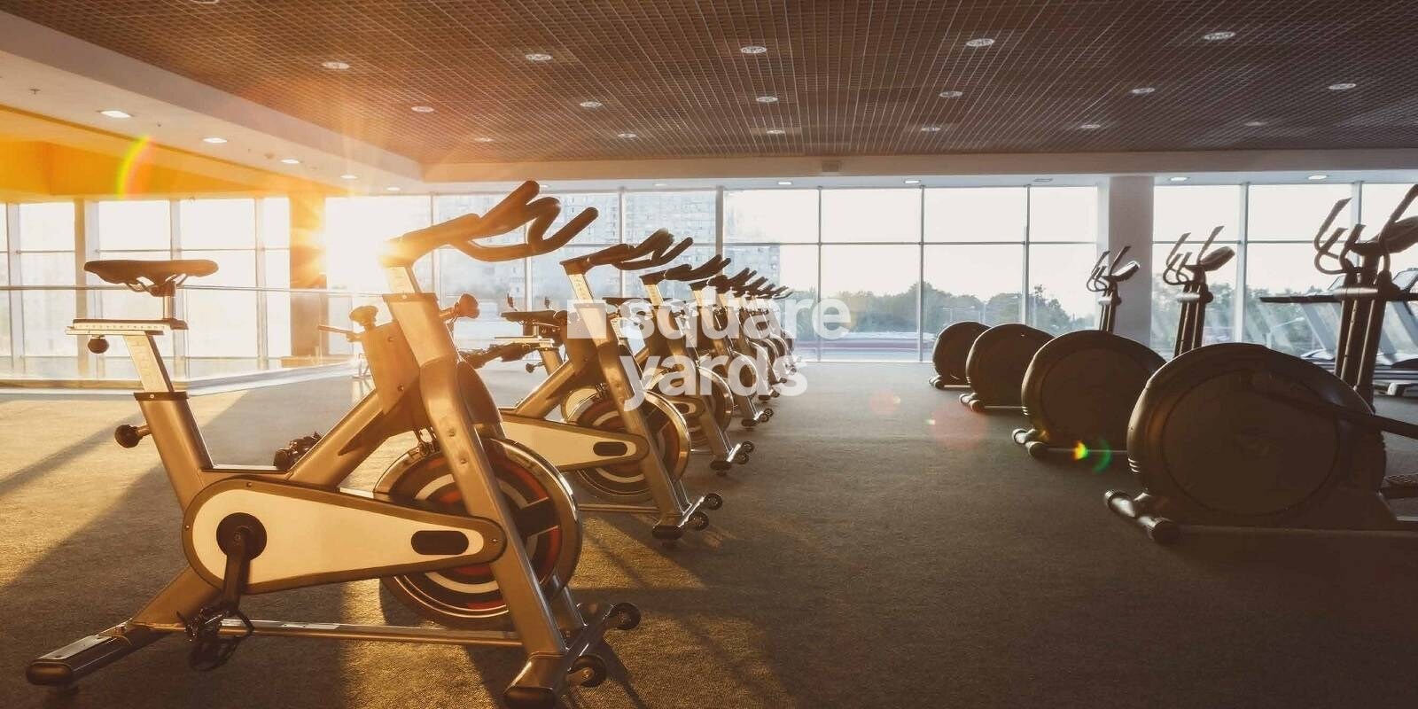 Whiteland The Aspen Gymnasium Image