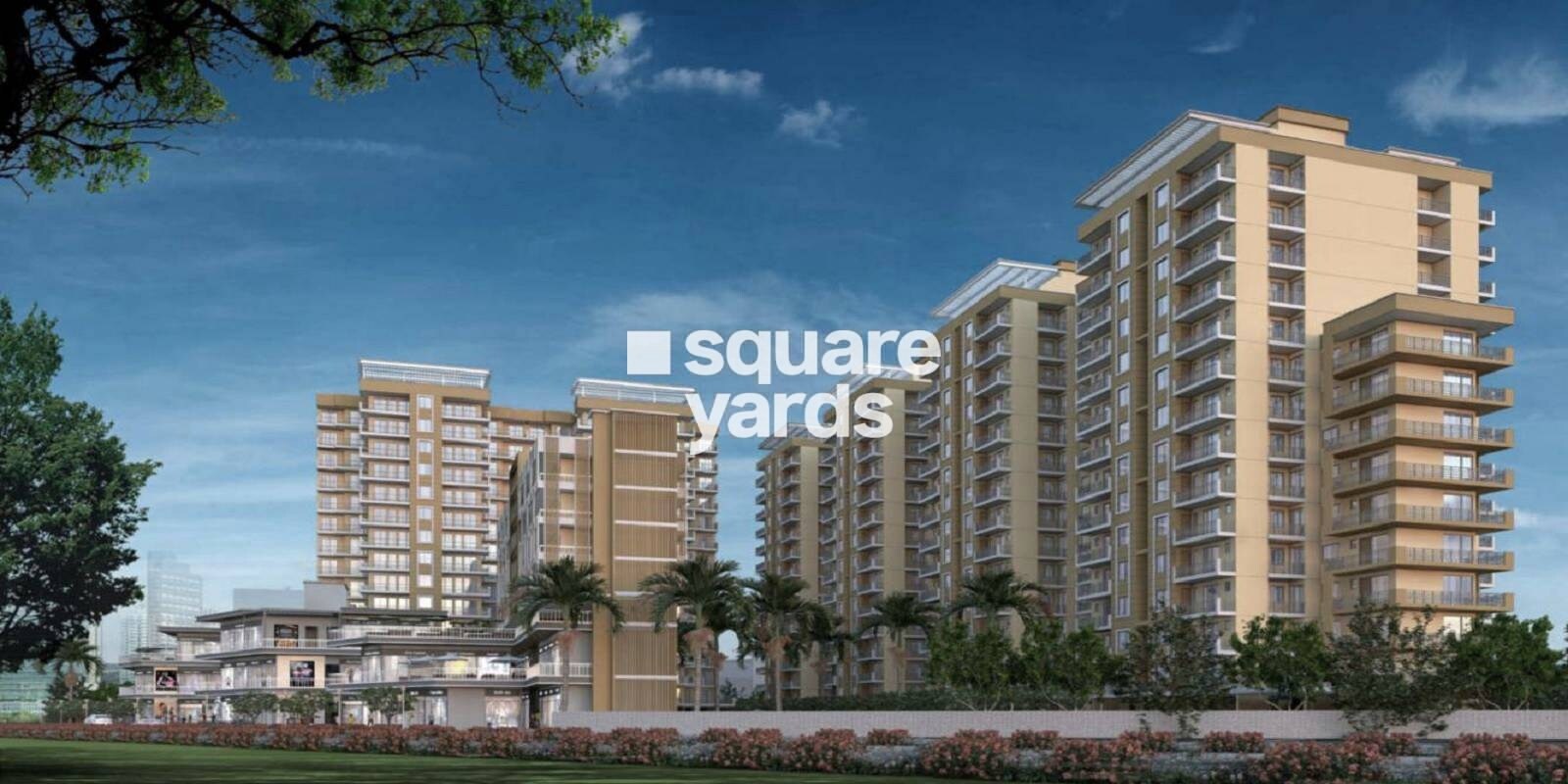 yashika-green-square