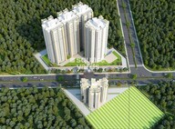 Zara Rossa Tower View