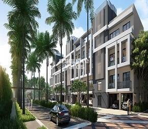Ace Palm Floors