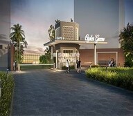 Adani Oyster Greens Video