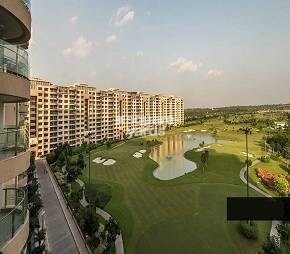 Ambience Caitriona Featured Image