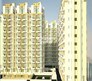 Apex Our Homes Flagship Image