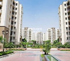 Ardee Platinum Courts, Sector 52, Gurgaon