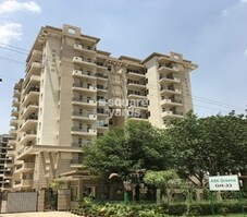 ASK Greens Featured Image