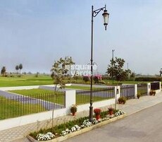 Central Park Flower Valley Mikasa Plots Featured Image